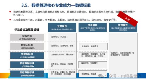 xx集團(tuán)數(shù)據(jù)治理體系建設(shè)方案 打造卓越數(shù)據(jù)處理服務(wù)